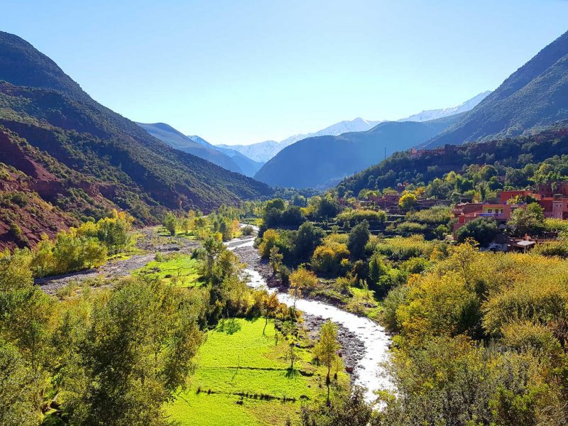 Spécialité du Maroc